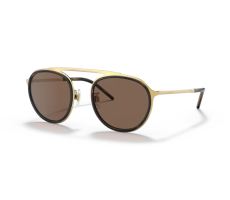 Dolce & Gabbana DG 2276 0273 GOLD